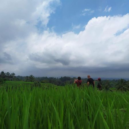 Tegal Jero Homestay Desa Desa Jatiluwih Exteriör bild