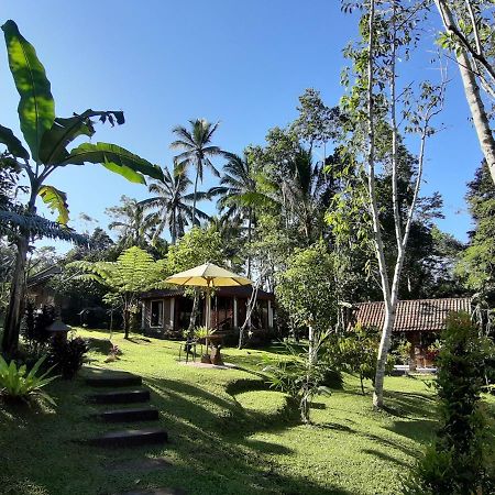 Tegal Jero Homestay Desa Desa Jatiluwih Exteriör bild