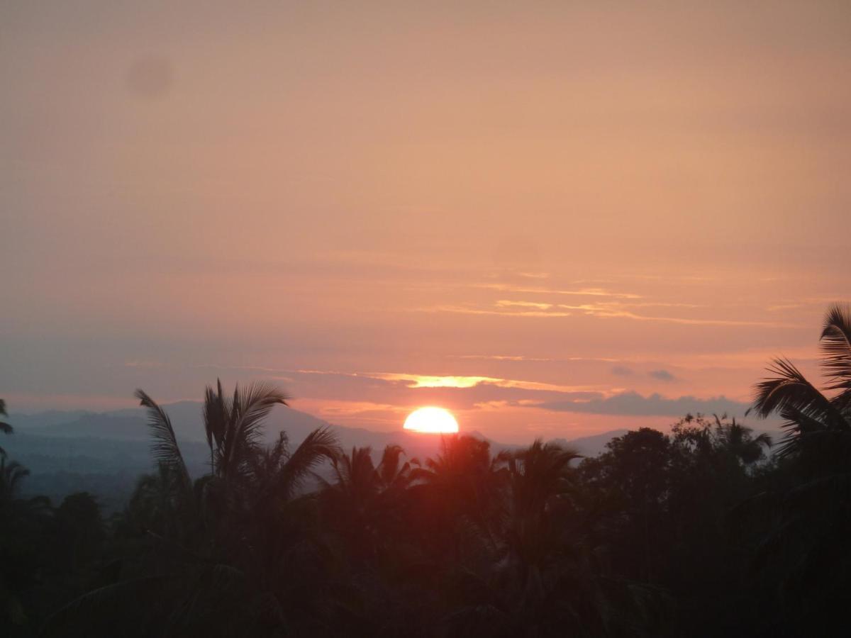 Tegal Jero Homestay Desa Desa Jatiluwih Exteriör bild