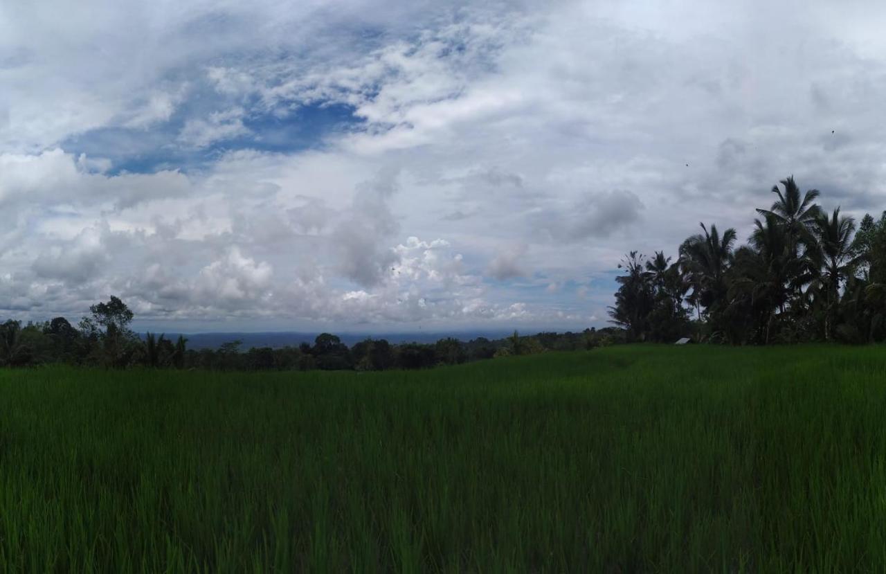 Tegal Jero Homestay Desa Desa Jatiluwih Exteriör bild