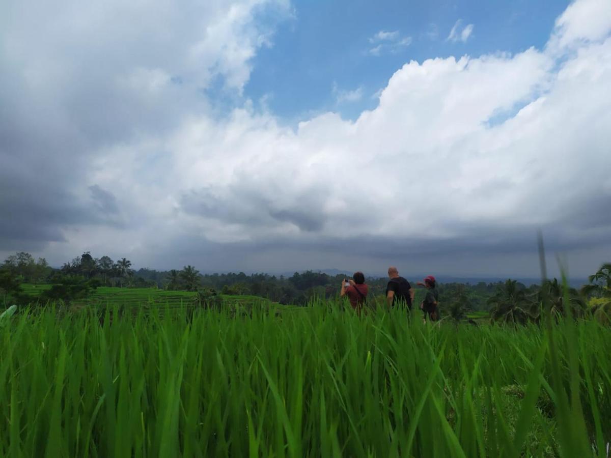 Tegal Jero Homestay Desa Desa Jatiluwih Exteriör bild