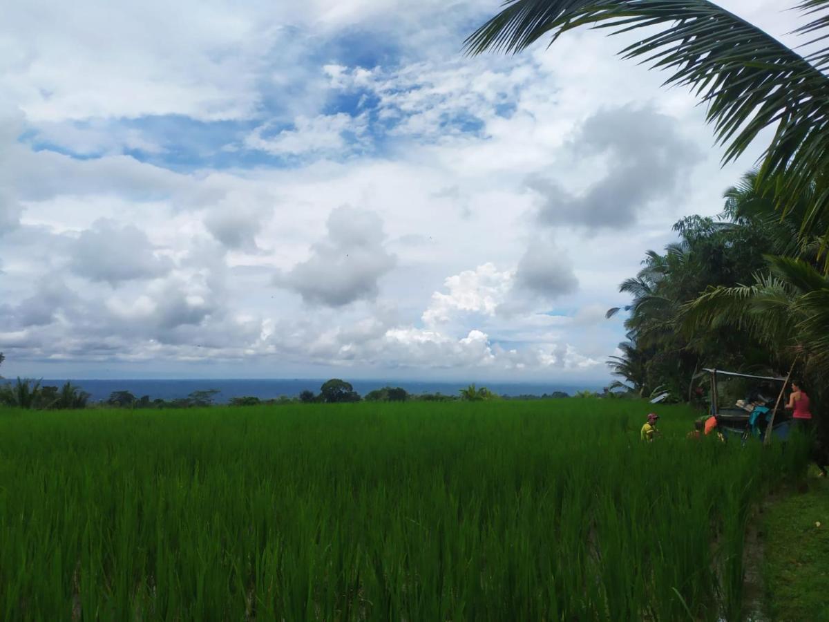 Tegal Jero Homestay Desa Desa Jatiluwih Exteriör bild