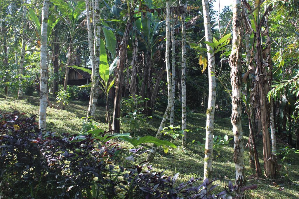 Tegal Jero Homestay Desa Desa Jatiluwih Exteriör bild