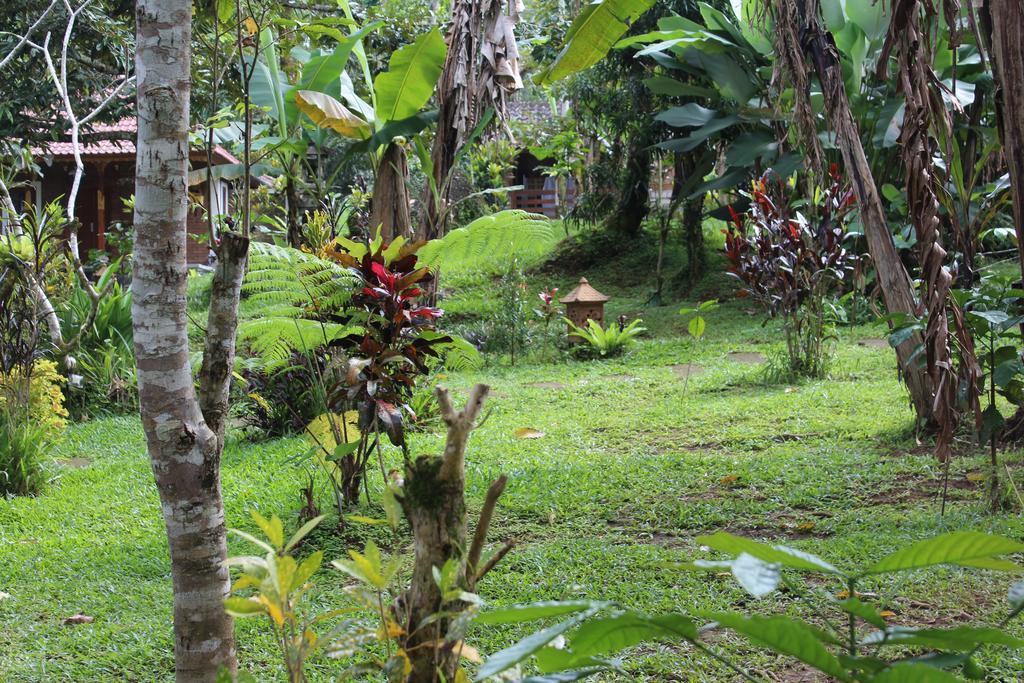 Tegal Jero Homestay Desa Desa Jatiluwih Exteriör bild