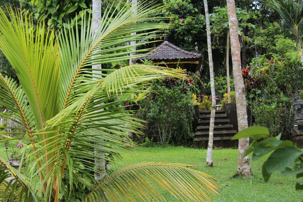 Tegal Jero Homestay Desa Desa Jatiluwih Exteriör bild
