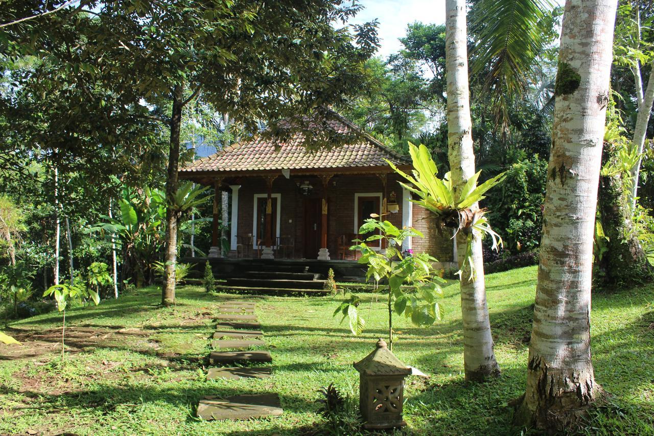 Tegal Jero Homestay Desa Desa Jatiluwih Exteriör bild