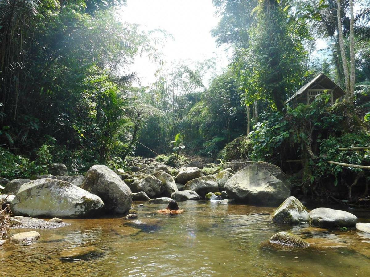 Tegal Jero Homestay Desa Desa Jatiluwih Exteriör bild