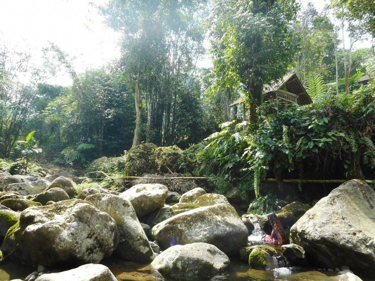 Tegal Jero Homestay Desa Desa Jatiluwih Exteriör bild
