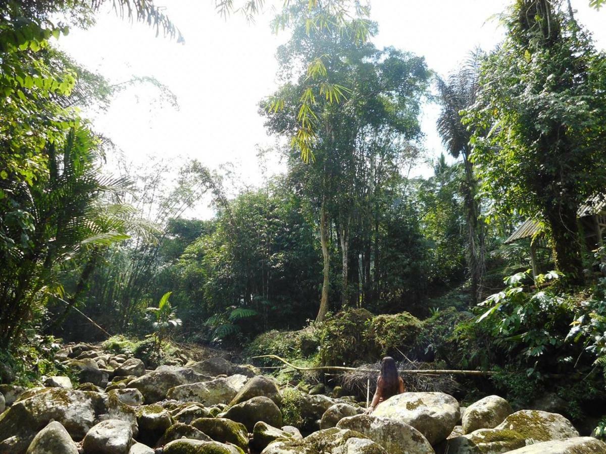 Tegal Jero Homestay Desa Desa Jatiluwih Exteriör bild
