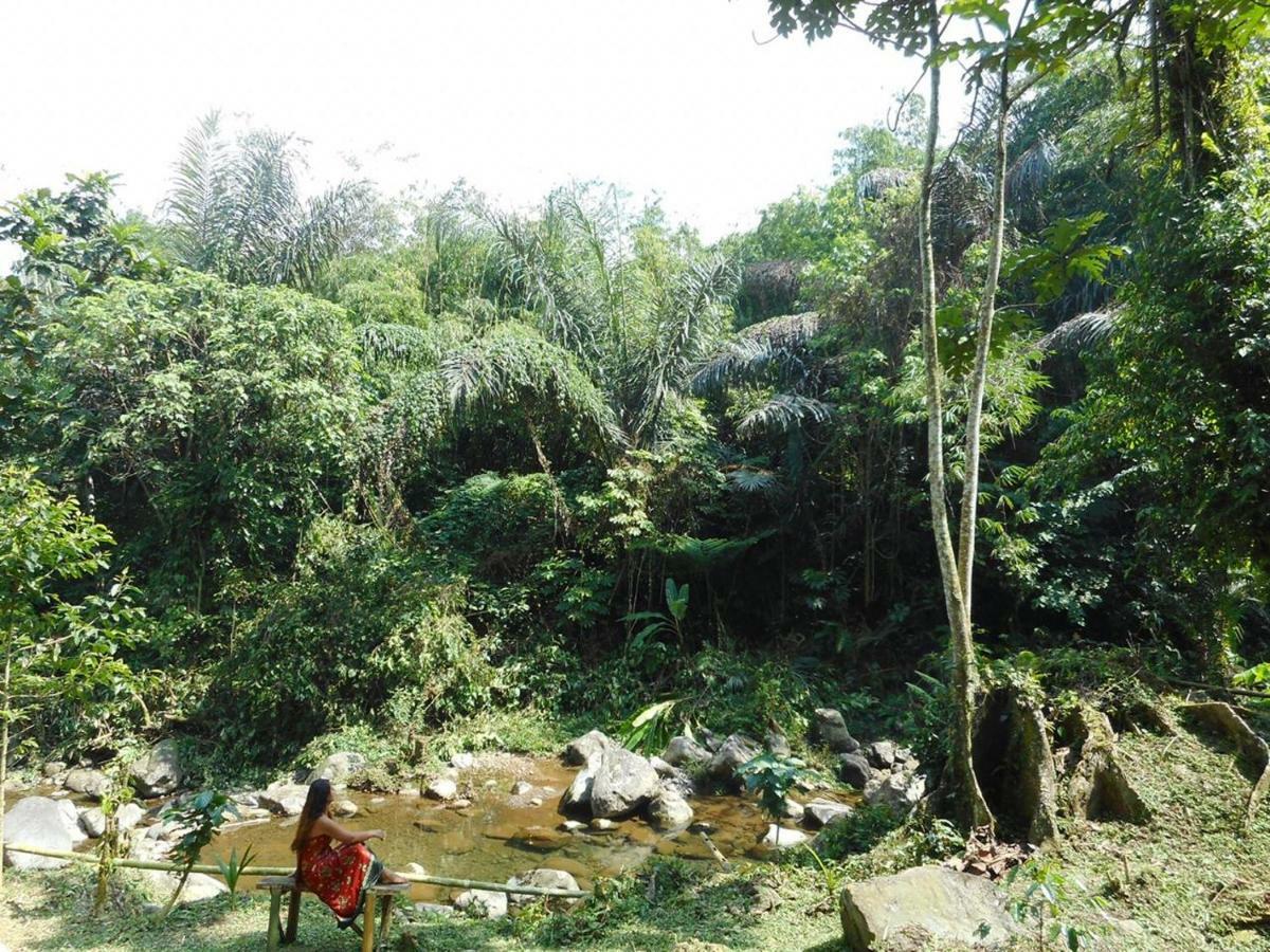 Tegal Jero Homestay Desa Desa Jatiluwih Exteriör bild