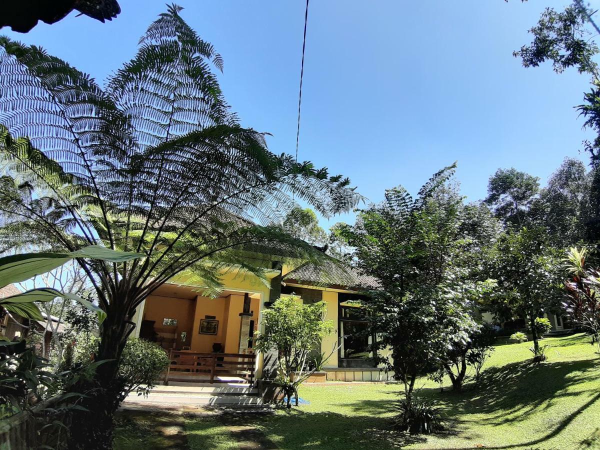 Tegal Jero Homestay Desa Desa Jatiluwih Exteriör bild