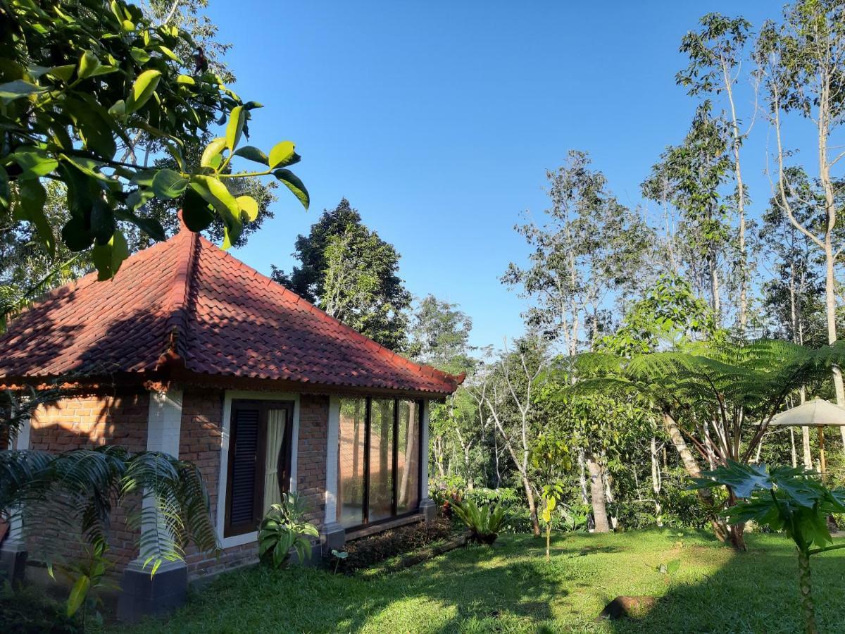 Tegal Jero Homestay Desa Desa Jatiluwih Exteriör bild