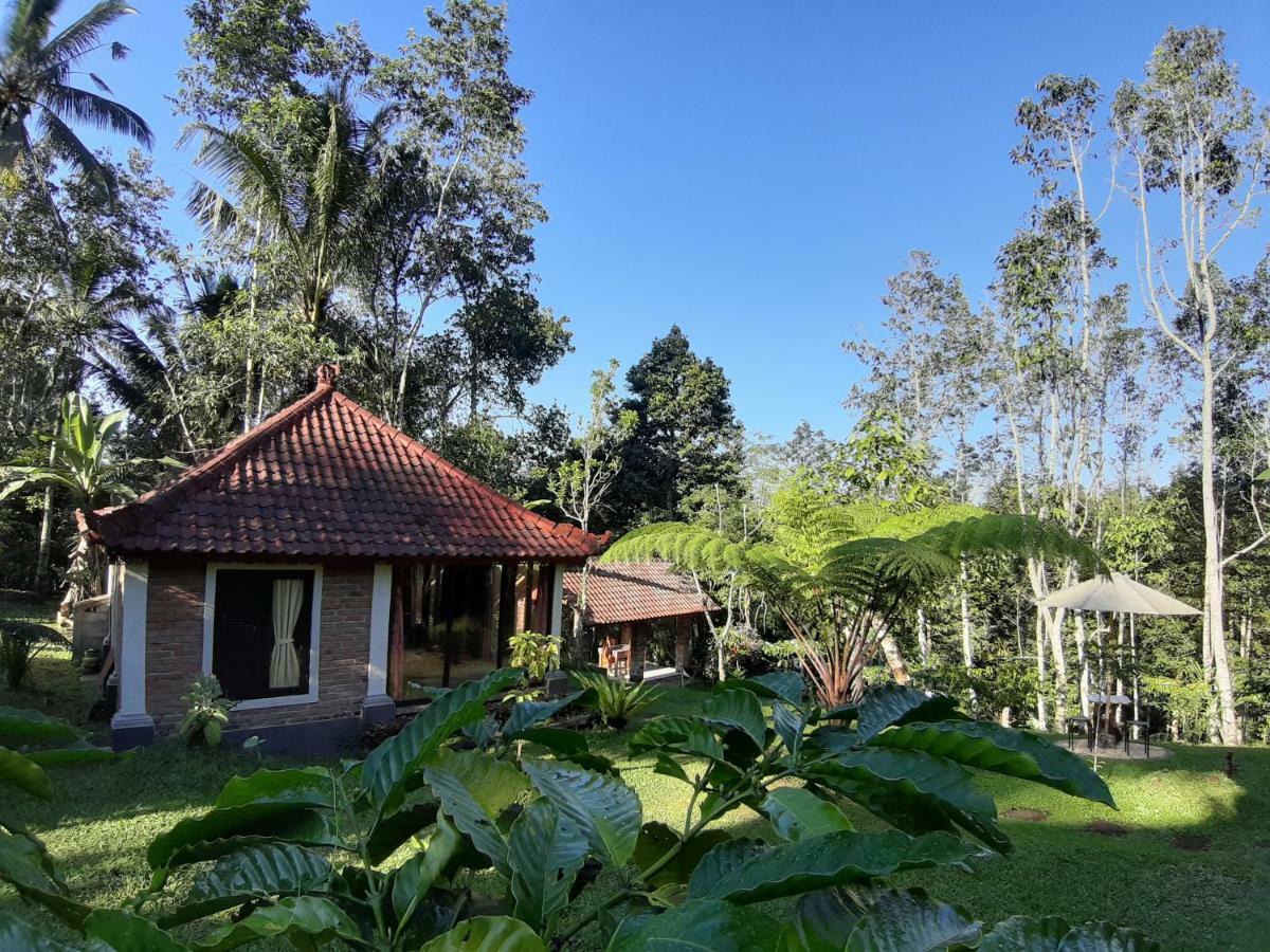 Tegal Jero Homestay Desa Desa Jatiluwih Exteriör bild