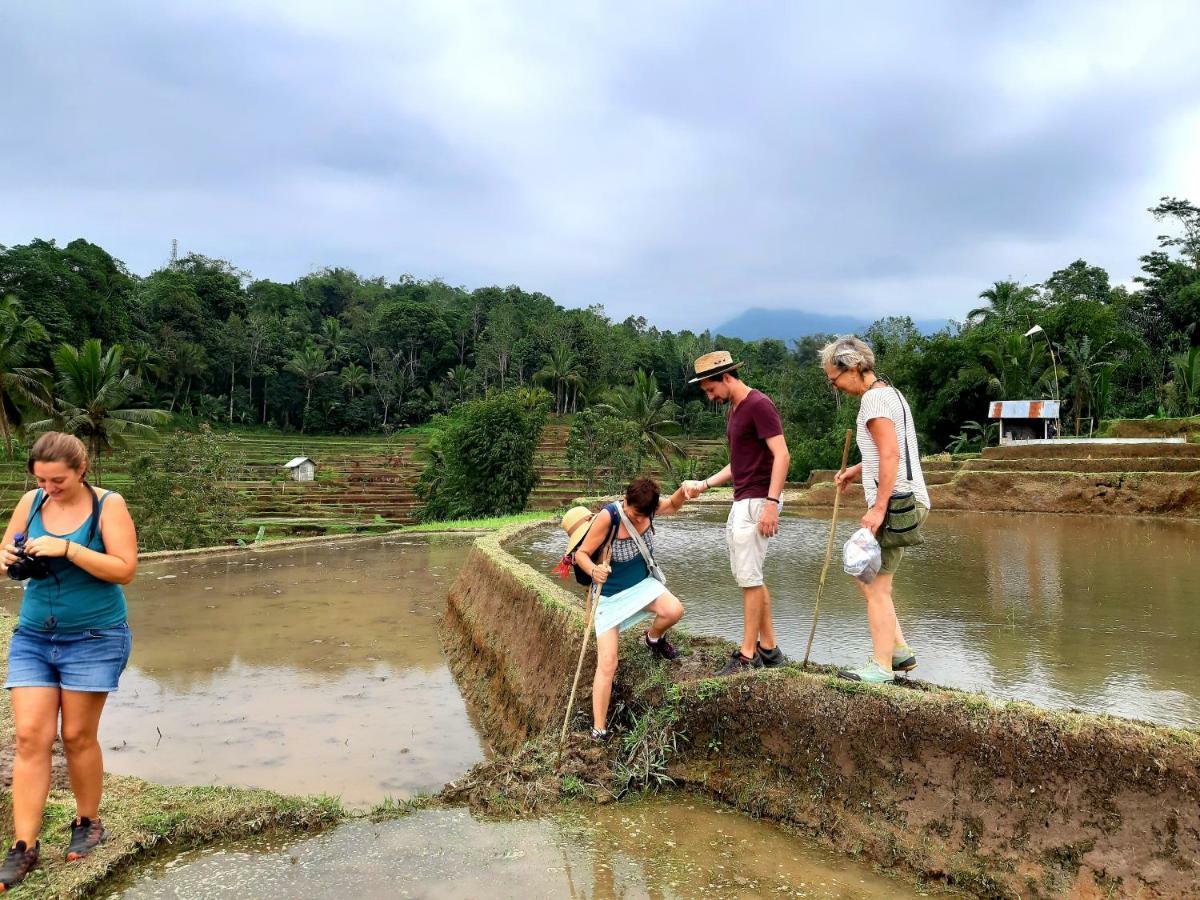 Tegal Jero Homestay Desa Desa Jatiluwih Exteriör bild