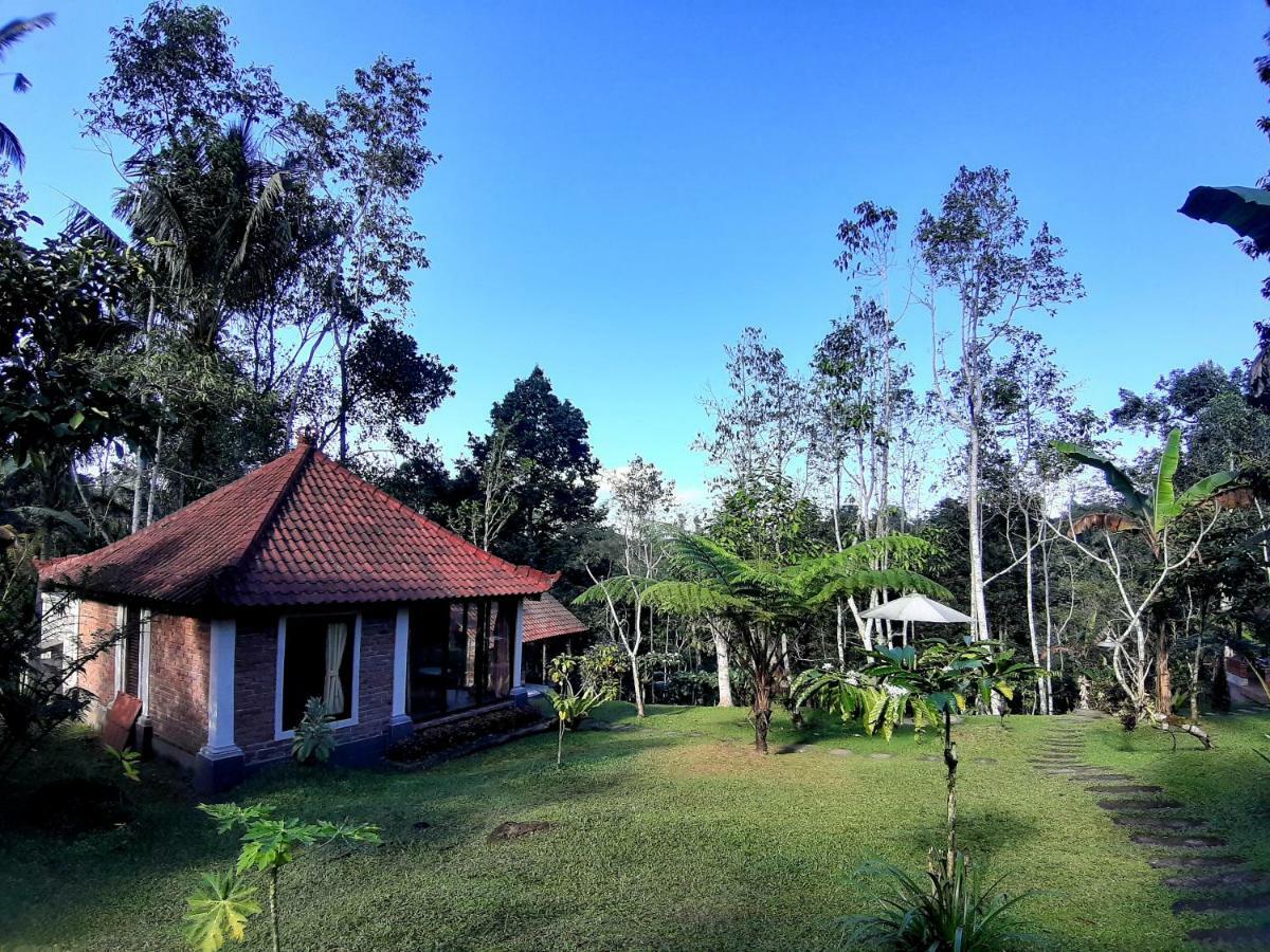 Tegal Jero Homestay Desa Desa Jatiluwih Exteriör bild